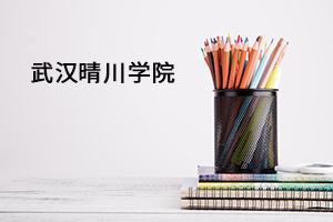 武汉晴川学院